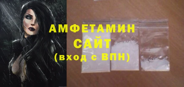 гидра Магас