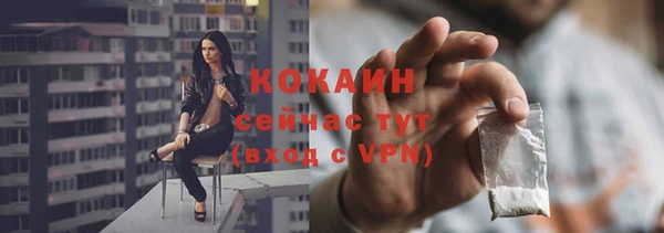 винт Липки