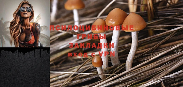 ПСИЛОЦИБИНОВЫЕ ГРИБЫ Магадан