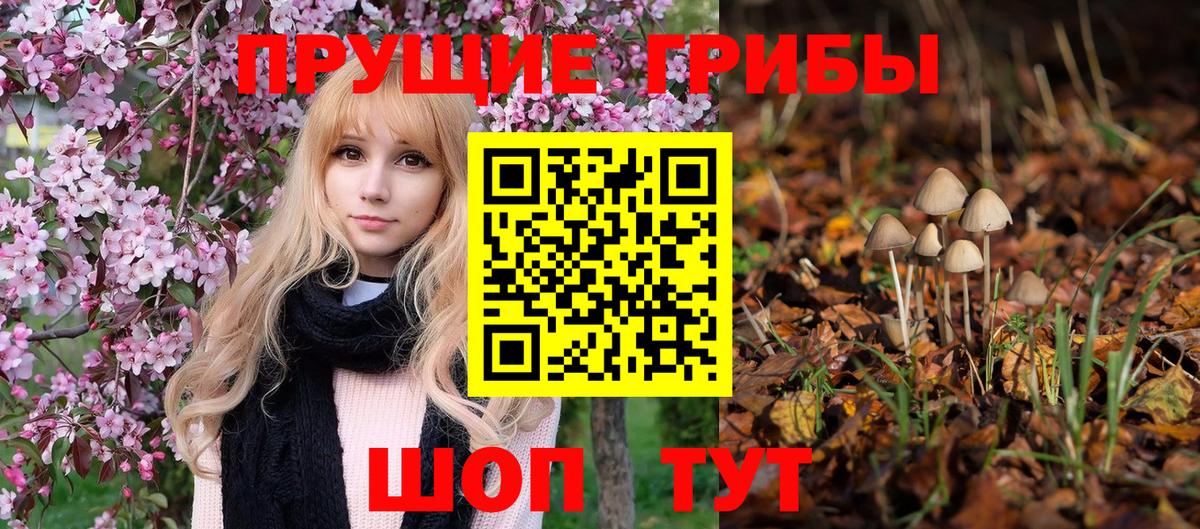 Галлюциногенные грибы Magic Shrooms  Липецк  Галлюциногенные грибы GOLDEN TEACHER 