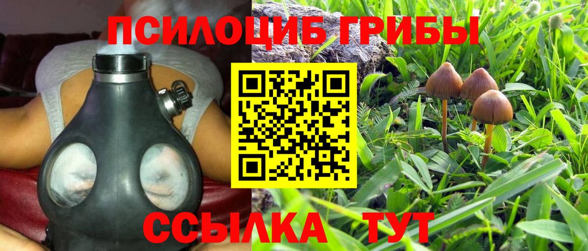 Галлюциногенные грибы Magic Shrooms Липецк